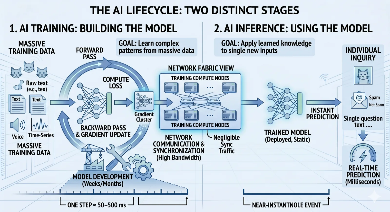 The AI lifecycle: two distinct stages. Left side — AI training, building the model: massive training data feeds forward and backward passes, gradient cluster synchronizes across a network fabric of training compute nodes at high bandwidth, model development takes weeks to months, one step is roughly 50 to 500 ms. Right side — AI inference, using the model: an individual inquiry (single question, image, voice) enters the trained model and produces an instant prediction in milliseconds, with negligible sync traffic between nodes.